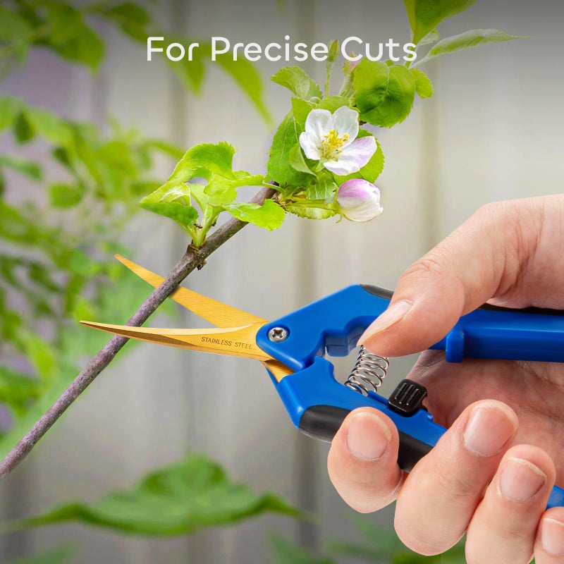 GROWNEER 3 Packs 6.5 Inch Pruning Shears with Curved Blades Trimming Scissors For Gardening Hand Pruning Snips Titanium Coated Precision Blades - Image 2